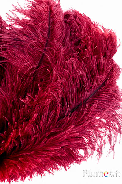 Struisvogel - 30-40 cm - grijs natuurlijk-rood
